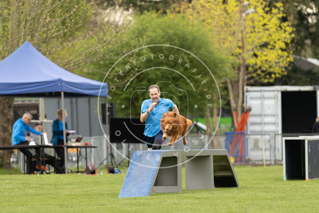 Pfotenfotografie_DV3A8847 | Hundefotografie, Tierfotograf, Pfotenfotografie, Fotoshooting Hund, Hunde Portrait, Hundesport, Hundeportraits, Heideshooting, Hunde, Sportfotograf, Hundefotograf, Turnierhundsport, THS,  - Realisiert mit Pictrs.com