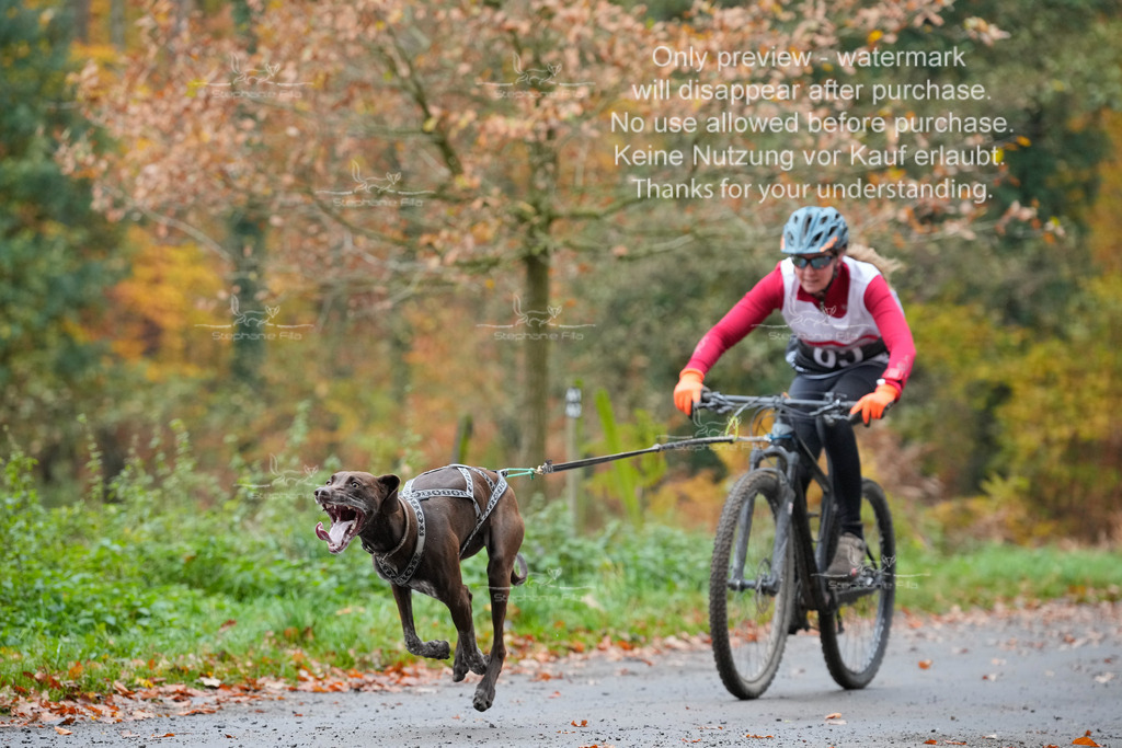 Bike_So-16 | stephaniefillaphotographie - Realisiert mit Pictrs.com