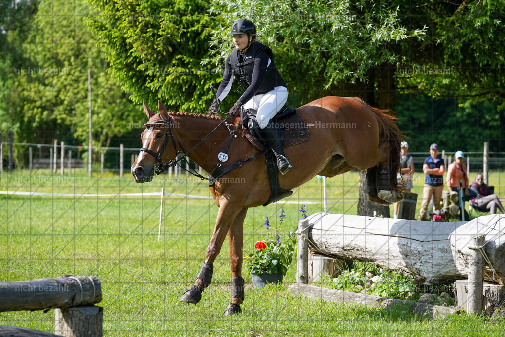 20240518-FAH04131 | Turnierbilder von Niederseon, Turnierfotografen Bayern, Fotoagentur Herrmann, Geländebilder, Reitsportfotografie