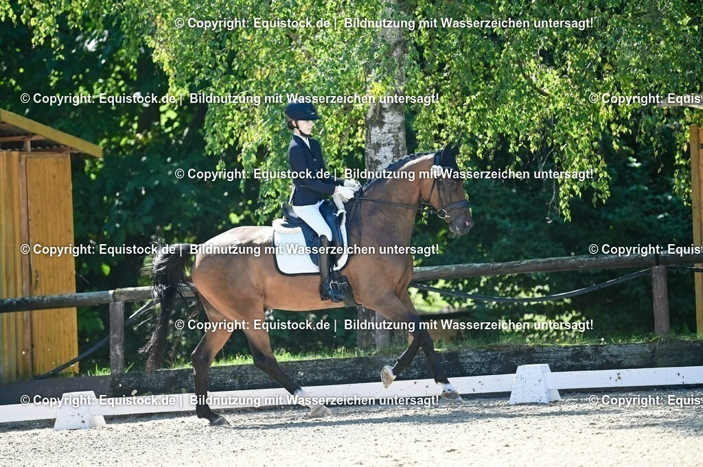 20230908_06_Dressur-L-Trense_0306 | equistock