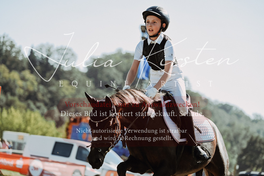 DSC_6911 | Pferde- und Turnierfotografie in Westsachsen. Pferdeportraits, Auftragszeichnungen und intuitive Kunst.