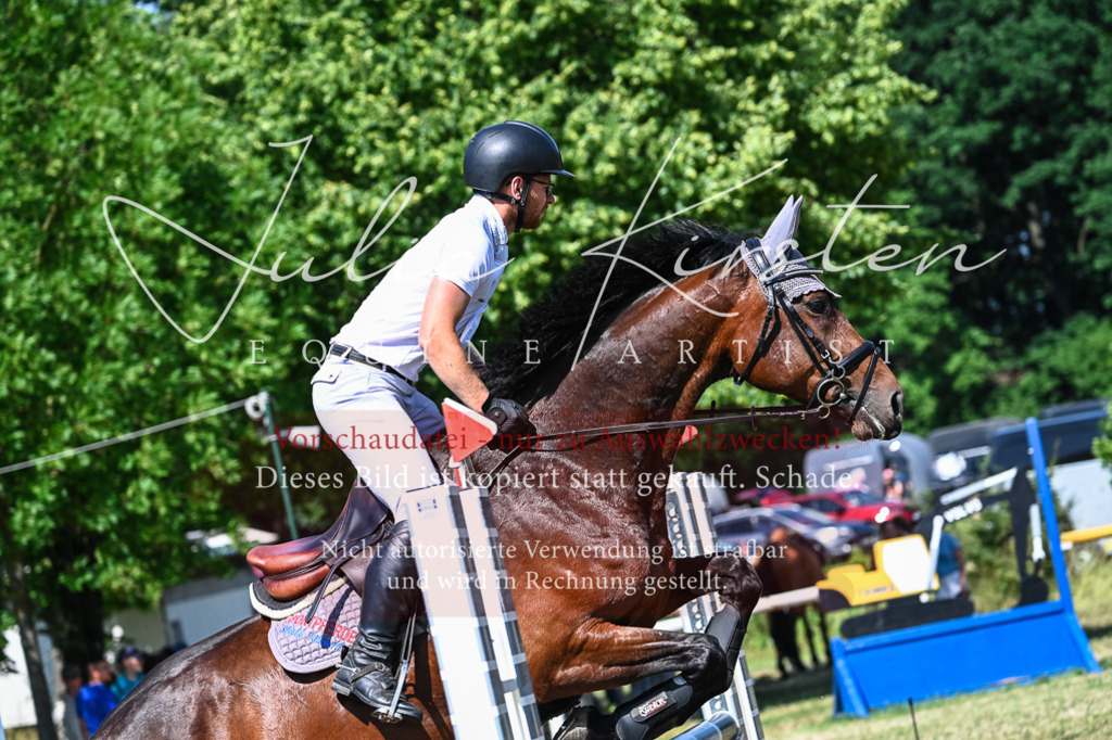 DSC_1650 | Pferde- und Turnierfotografie in Westsachsen. Pferdeportraits, Auftragszeichnungen und intuitive Kunst.