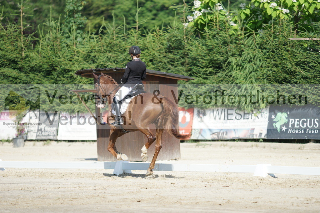 DSC04520 | equestrian-live-com