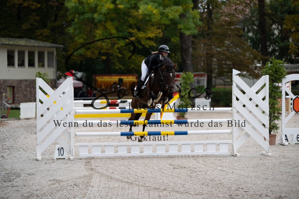 A7V00270 | Turnier/Reitfotograf