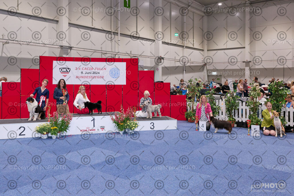 202406_ÖKV-IHA-Tulln24_NZ9_9492 | proPHOTO - Realisiert mit Pictrs.com