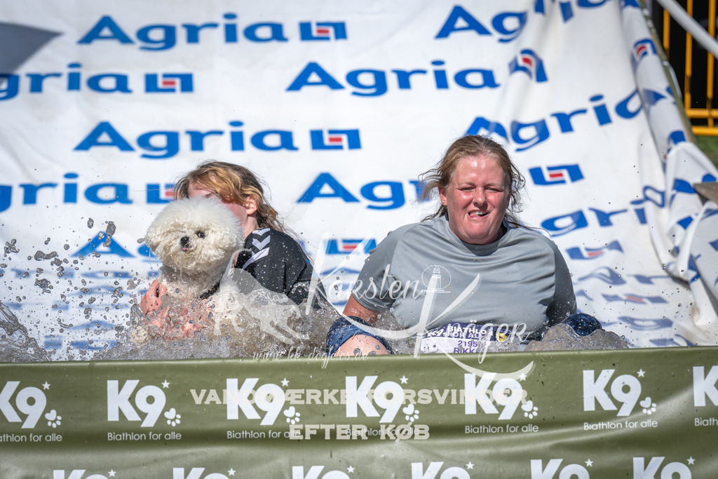 1555_ZZ97665 | kk-dogfotos