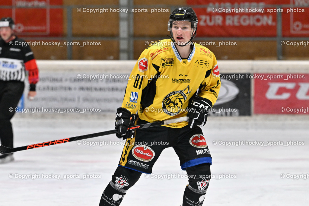 EC Spittal Hornets vs. EHC Althofen 6.1.2024 | #81 Sivec Peter Paul