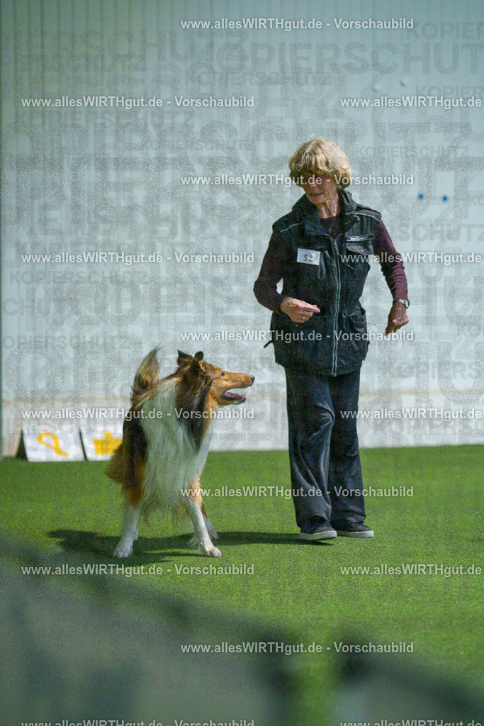 7R502142 | Professionelle Tierfotografie in Mönchengladbach von Daniel Wirth (allesWIRTHgut). Liebevolle & natürliche Bilder von Hunden & Katzen für unvergessliche Erinnerungen.