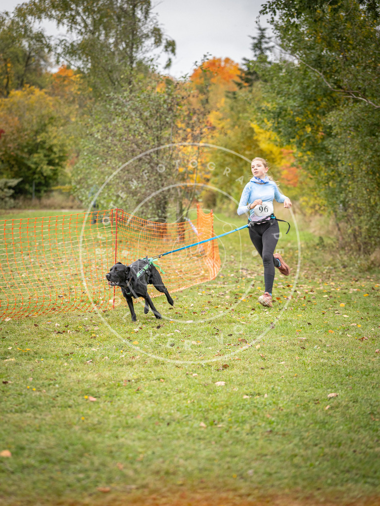 Pfotenfotografie_DV3A3369 | Hundefotografie, Tierfotograf, Pfotenfotografie, Fotoshooting Hund, Hunde Portrait, Hundesport, Hundeportraits, Heideshooting, Hunde, Sportfotograf, Hundefotograf, Turnierhundsport, THS,  - Realisiert mit Pictrs.com