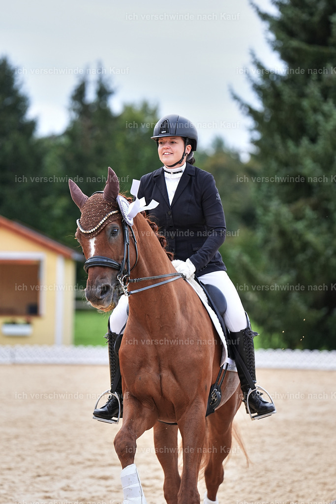 3-Siegerehrung-Dressur M_-Marixx-2083 | working equitationturnier fotograf videograf stoibphotography marixx film working equitation deutschland reitsport turnierfotografie eventfotografie equestrian events