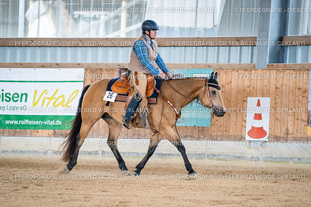 DSC08234 | Pferdegrafie