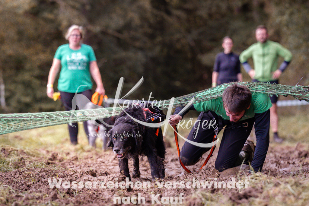 1217_ZZ93088 | kk-dogfotos