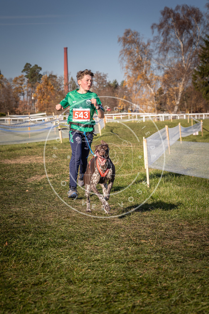 CaniXpix_0L8A7572 | Hundefotografie, Tierfotograf, Pfotenfotografie, Fotoshooting Hund, Hunde Portrait, Hundesport, Hundeportraits, Heideshooting, Hunde, Sportfotograf, Hundefotograf, Turnierhundsport, THS,  - Realisiert mit Pictrs.com