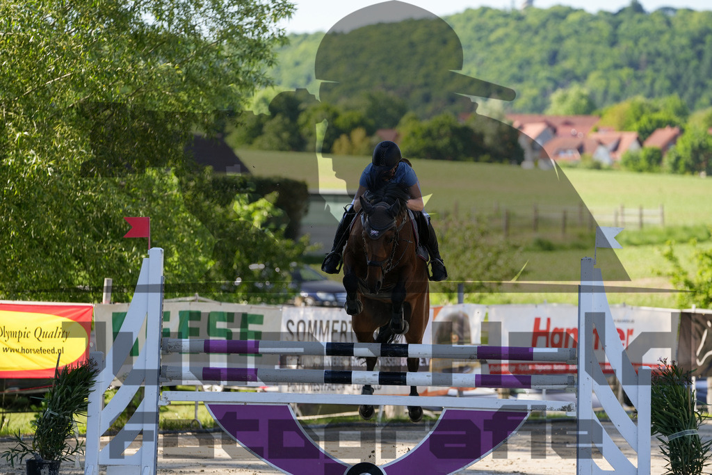 DSC02456 | Julian Held Fotografie - Realisiert mit Pictrs.com