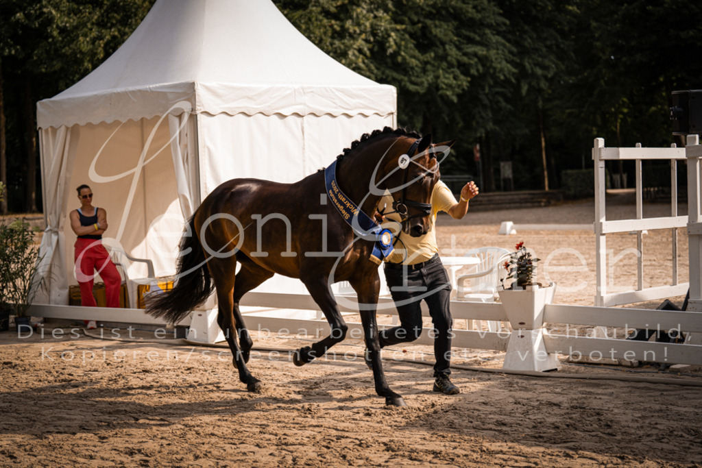 FrER00240 | Leoni Ertmer Photography - Realisiert mit Pictrs.com