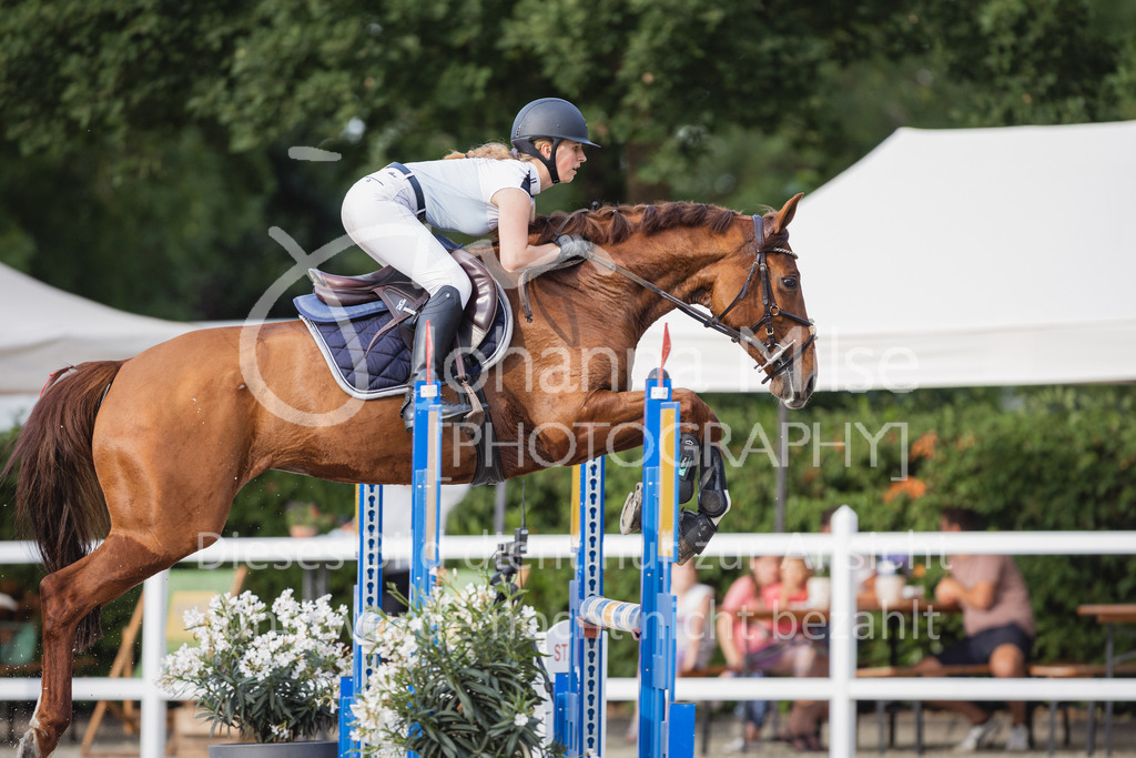 230616_Lemwerder_SprPf-Lgeschl-952 | Deine schönsten Turniermomente als professionelle Fotos! Entdecke hochwertige Pferdesport-Fotografie im Online-Shop. Jetzt Fotos finden & bestellen!