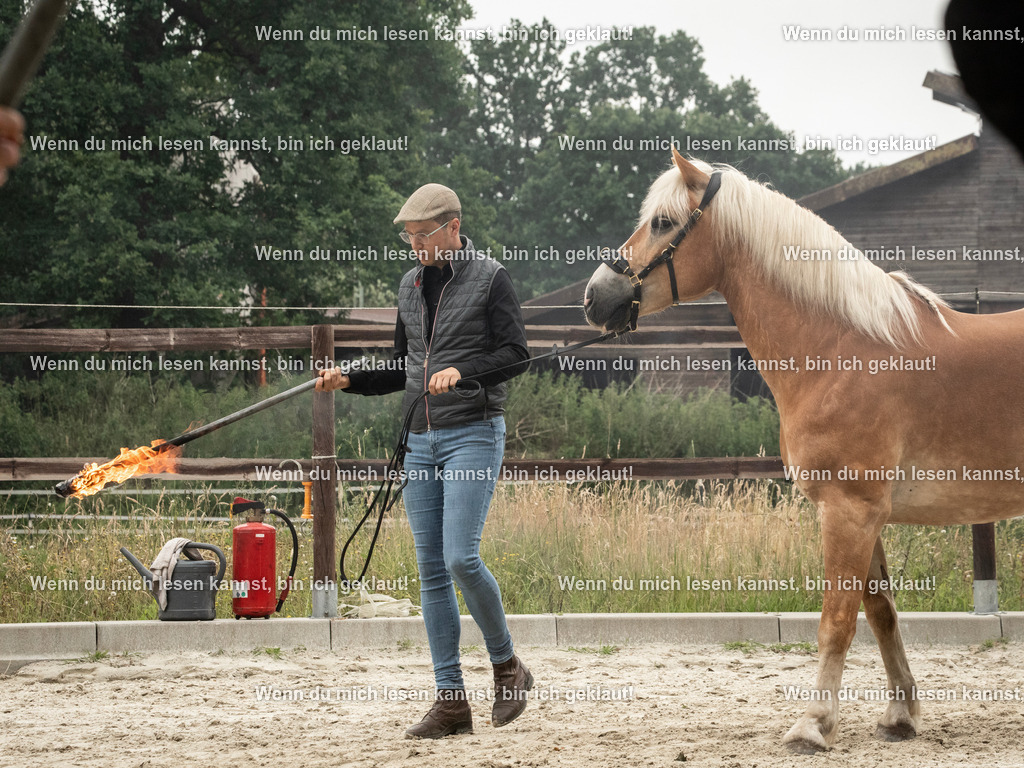 598A7243 | photographylinaismer - Realisiert mit Pictrs.com