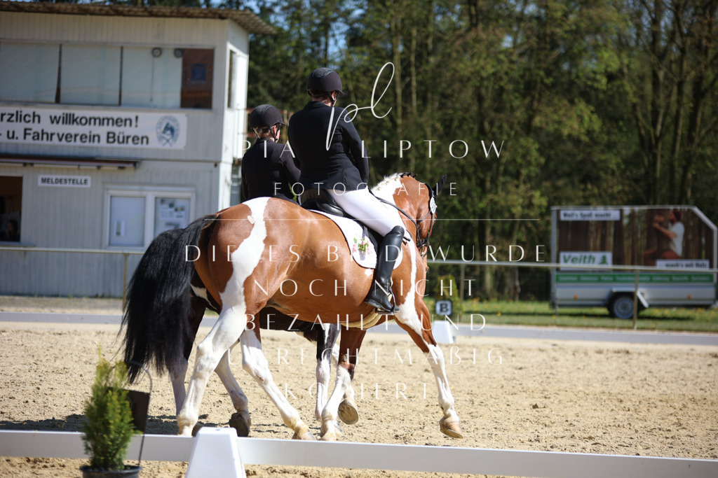 IMGT2172 | pl-fotografie