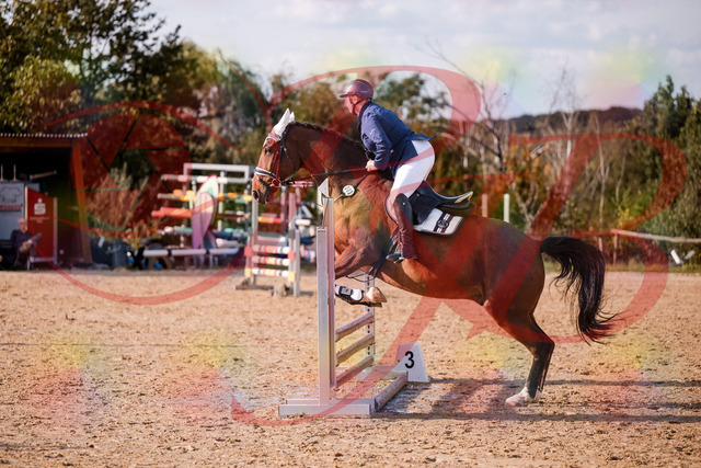 2026_10_03_Siefer-Hof_160627_Z81_87982864 | Professionelle Reitsport-, Turnier- und Eventfotografie von Robert Broda. Galerien mit ausgewählten und bearbeiteten Bildern direkt online ansehen und bestellen.