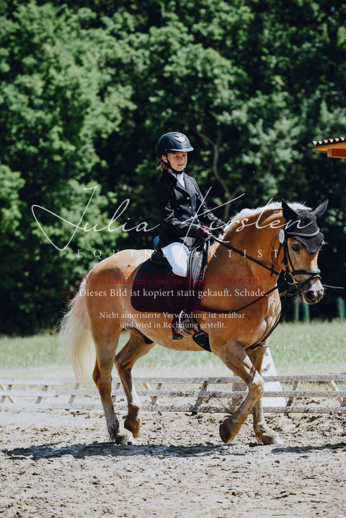 DSC_2348 | Pferde- und Turnierfotografie in Westsachsen. Pferdeportraits, Auftragszeichnungen und intuitive Kunst.