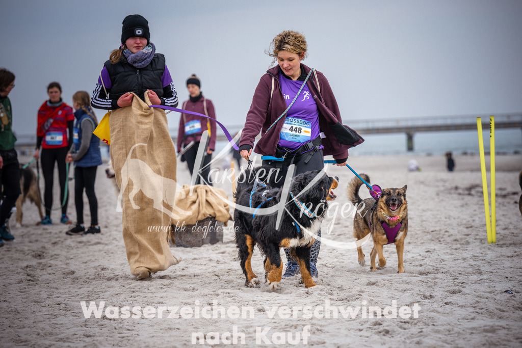 1224_ZZ93936 | kk-dogfotos