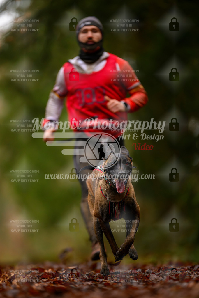 MompixPhotography_2SSTSSBW_2025_SO_Canicross-66 | PayLife
