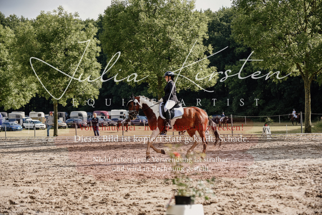 DSC_8781 | Pferde- und Turnierfotografie in Westsachsen. Pferdeportraits, Auftragszeichnungen und intuitive Kunst.