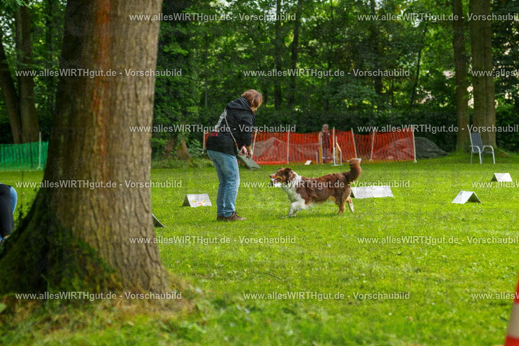 @allesWIRTHgut_Tierfotografie - www.allesWIRTHgut.de - 7R502582 | Professionelle Tierfotografie in Mönchengladbach von Daniel Wirth (allesWIRTHgut). Liebevolle & natürliche Bilder von Hunden & Katzen für unvergessliche Erinnerungen.