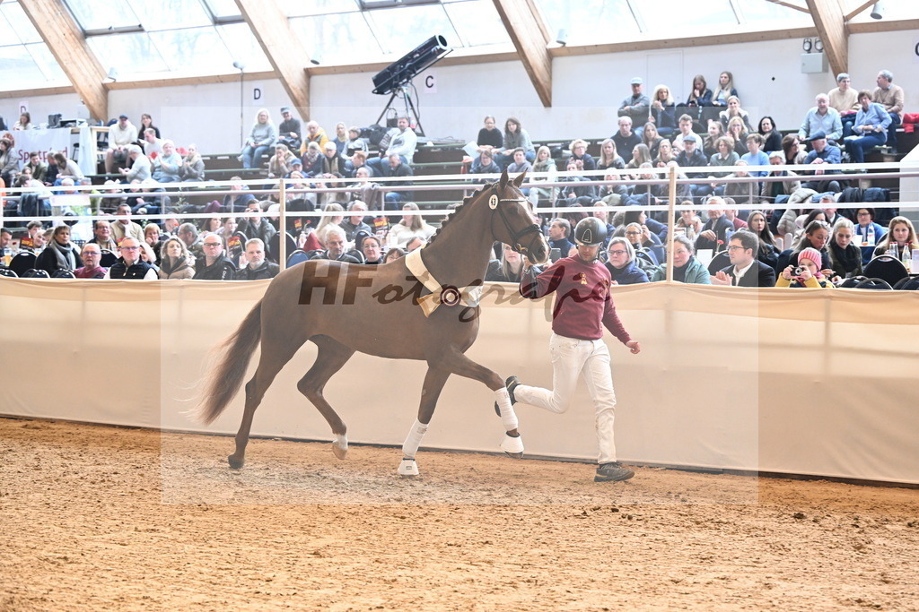 Kat.-Nr. 43 v. Dutch Dream_Ottmann_3265402 | hf-fotografie - Realisiert mit Pictrs.com