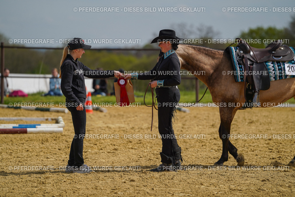 DSC04252 | Pferdegrafie