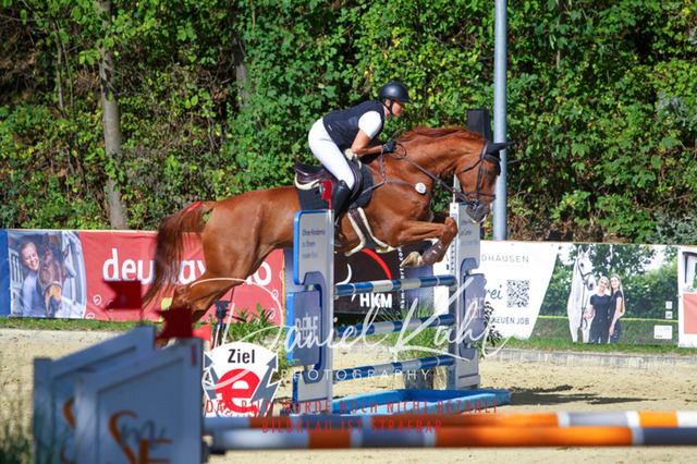 DKP43415 | Turniersportfotografie; Pferdefotografie; Dressurfotografie