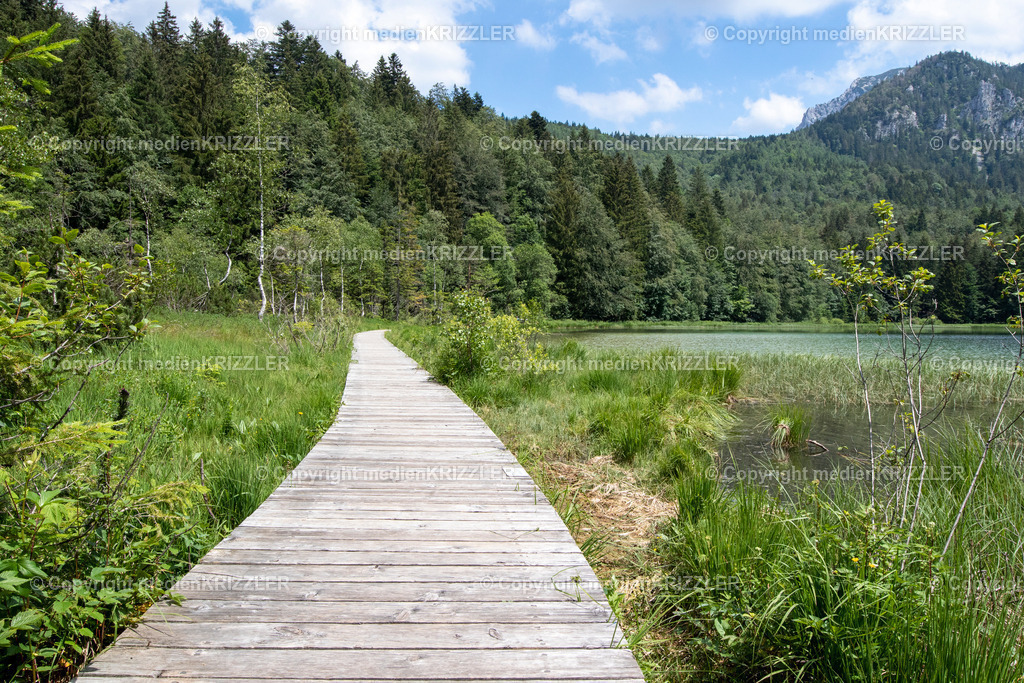 Frillensee | medienkrizzler - Realisiert mit Pictrs.com