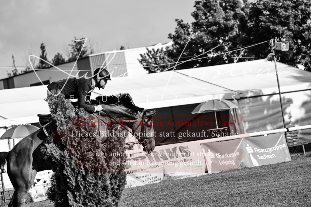 DSC_7414 | Pferde- und Turnierfotografie in Westsachsen. Pferdeportraits, Auftragszeichnungen und intuitive Kunst.