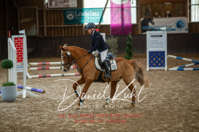 IMG_1767 | Turniersportfotografie; Pferdefotografie; Dressurfotografie