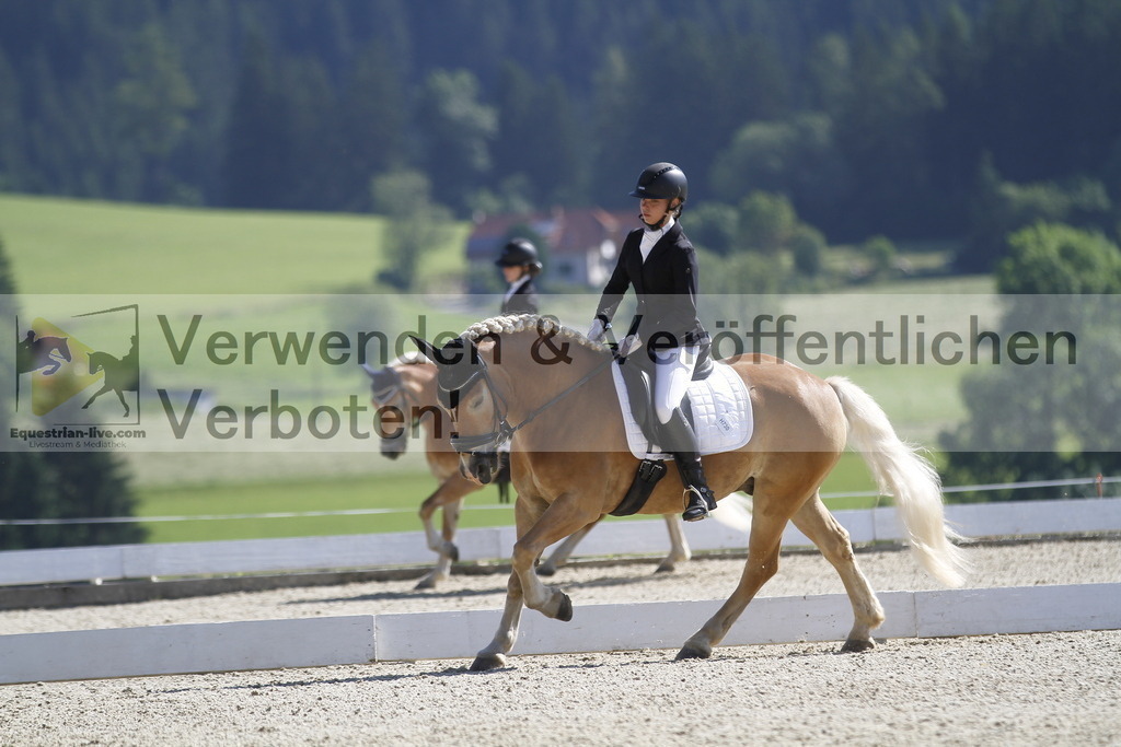 _MG_6175 | equestrian-live-com