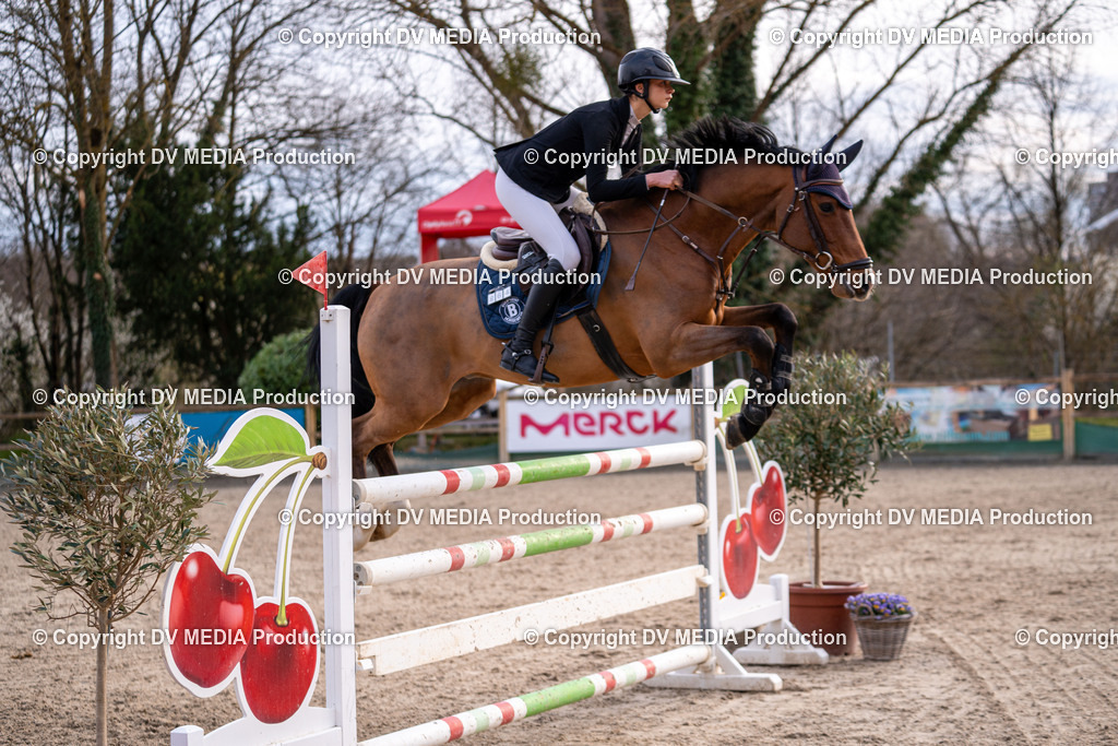 Kranichstein Tag 2-2239 | dv-media-shop - Realisiert mit Pictrs.com