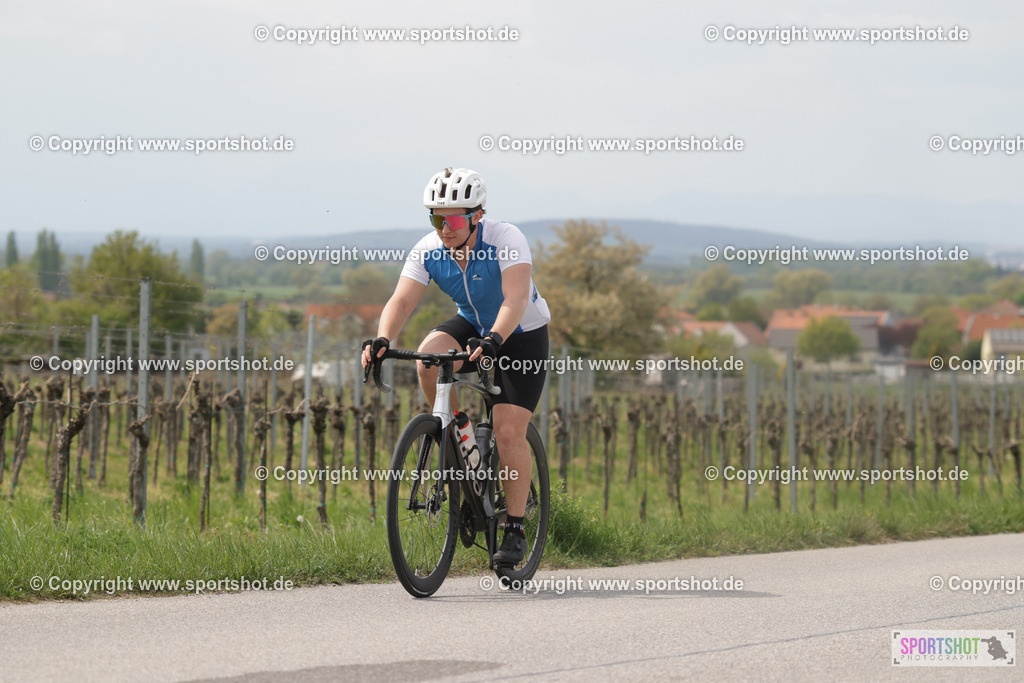 368A5475 | Neusiedlersee Radmarathon 2026@sportshot_your_pictrs #yourpictures#roadtowm2029 #nrm #neusiedlerseeradmarathon #neusiedlersee #neusiedlerseetourismus #burgenland #mörbisch #nrm26 #burgenlandtourismus #voglundco #poweredbyburgenlandtourismus #radsport #rad #marathon #ucigranfondo #visitburgenland #ucigranfondoworldseries