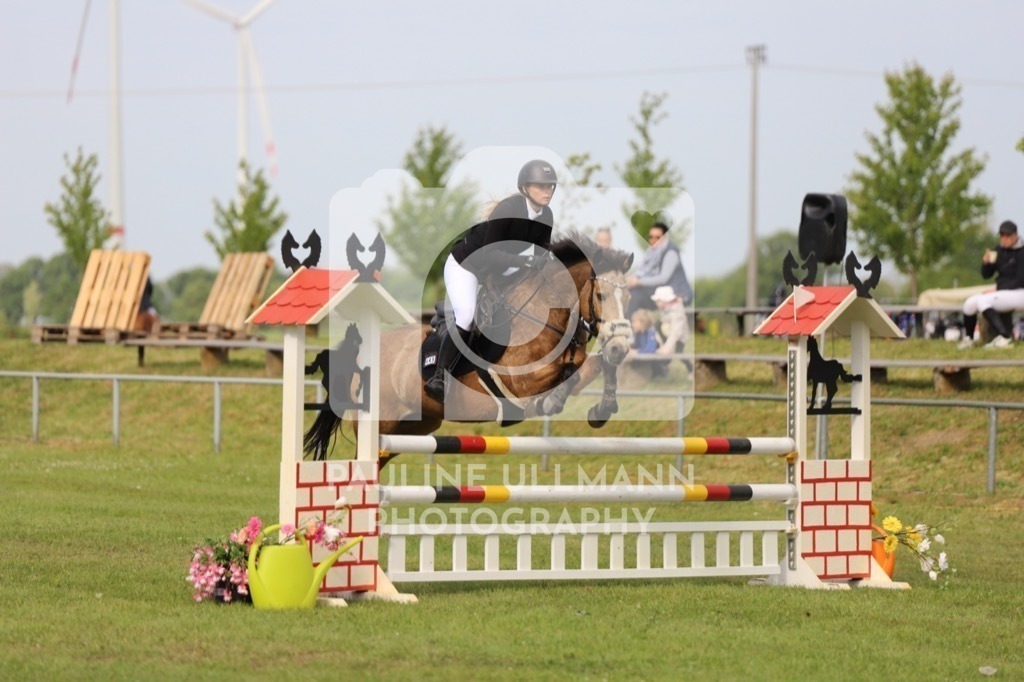 IMG_6902 | Pauline Ullmann Photography - Realisiert mit Pictrs.com