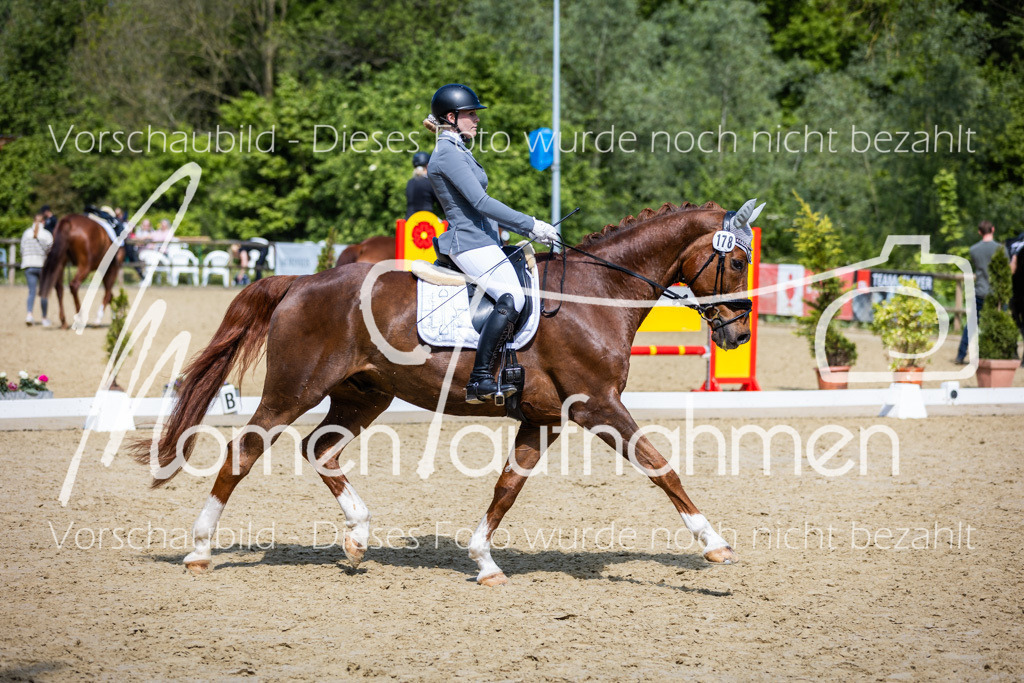 Donop24-L-Dre-039 | MomenTaufnahmen Pferdesportfotos