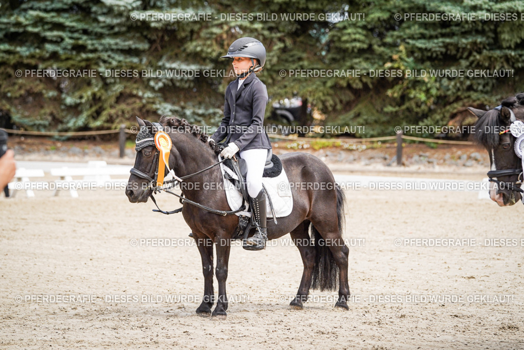 DSC02877 | Pferdegrafie