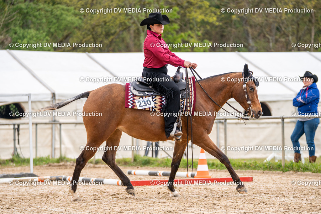 Heiligenwald Tag 1-421 | dv-media-shop - Realisiert mit Pictrs.com