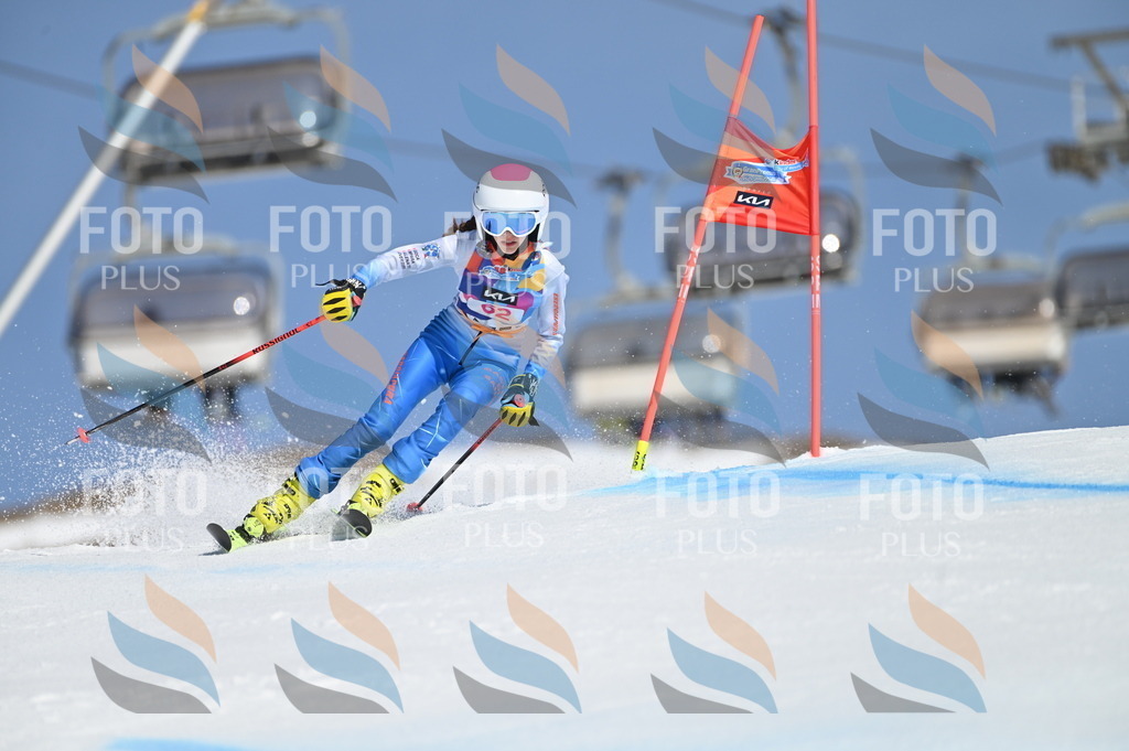 BGV_8757 | holidayphoto