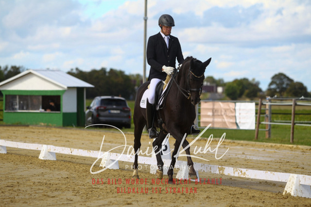 DKP44266 | Turniersportfotografie; Pferdefotografie; Dressurfotografie