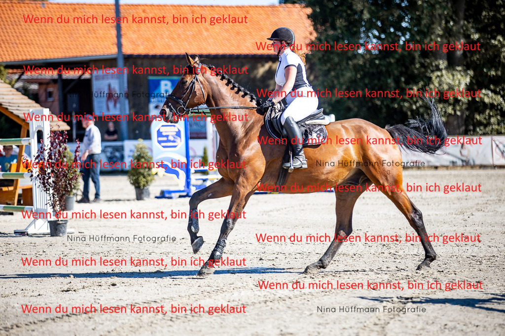 BK1A7907 | Turnierbilder Turnierfotos Nina Hüffmann Turnierfotografie Pferdefotografie Tierzeichnung Haustierzeichnung Pferdezeichnung Hundezeichnung Videograf  - Realisiert mit Pictrs.com