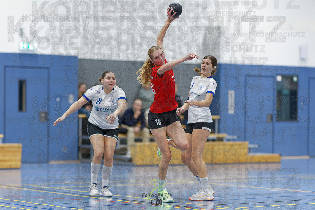 Frauen 2. Bezirksklasse; SG Rechtenbach - HSG Linden II | Frauen 2. Bezirksklasse; SG Rechtenbach - HSG Linden II am 16.11.2025 in Rechtenbach (Sporthalle Rechtenbach)Photo © 2025 - Jörg Heinrich - Realisiert mit Pictrs.com