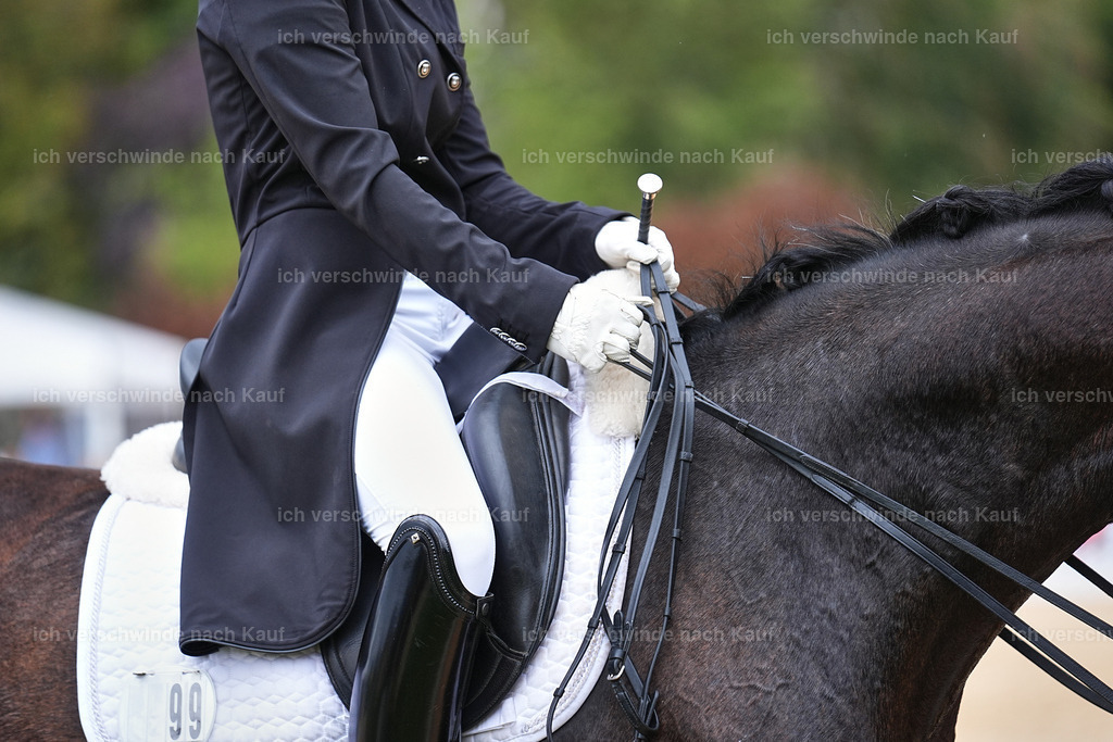 8_1-099-Klasse S_  -Marixx-4182 | working equitationturnier fotograf videograf stoibphotography marixx film working equitation deutschland reitsport turnierfotografie eventfotografie equestrian events