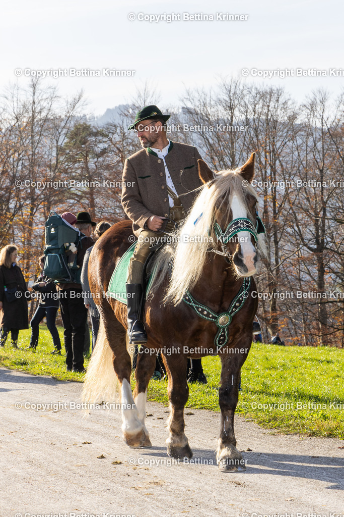 LBT24-1570 | foto-bettina-krinner - Realisiert mit Pictrs.com