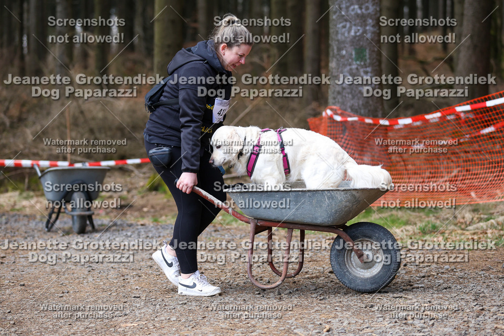 Dog Paparazzi - VCC26-871 | Dog Paparazzi Jeanette Grottendiek Fotografie & Videografie - Realisiert mit Pictrs.com