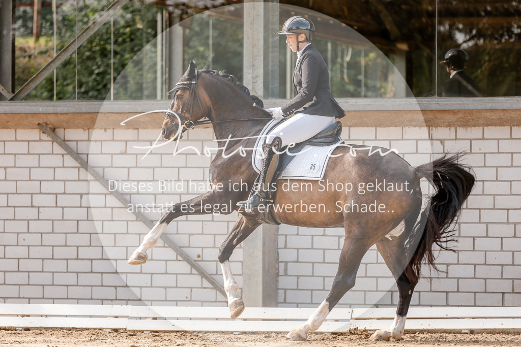 3I6A3471 | Stimmungsvolle Portraits und Reitsportfotografie im Ruhrgebiet und im Münsterland.

Pferdefotografie, Hundefotografie, Tierfotografie, Reportagen, Portraits von Tier und Mensch, Turnierfotografie in Bochum, Recklinghausen, Marl, Haltern am See, Dülmen.. - Realisiert mit Pictrs.com