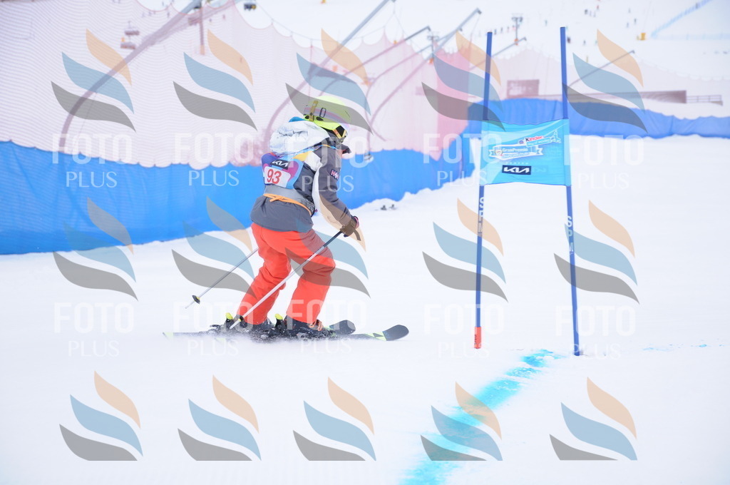 DSC_8267 | holidayphoto